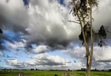 爱游戏下载-9场客场不败！沙尔克04用钢铁履带碾向德乙巅峰