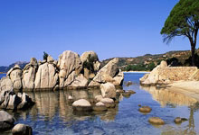 爱游戏官方-法网横扫拉沃尔杯，德约科维奇状态火热