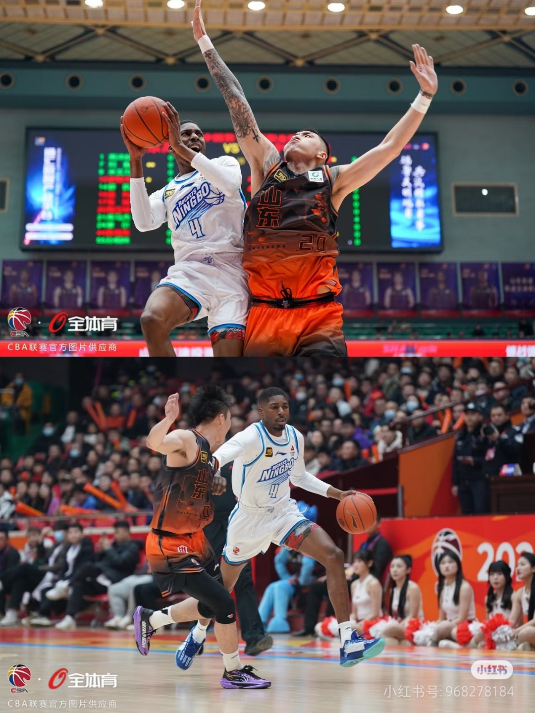 宁波男篮遭遇失利,面临压力的简单介绍 宁波男篮遭遇失利,面临压力的简单介绍