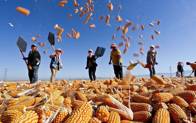 波尔多联赛表现出色，回暖迹象明显