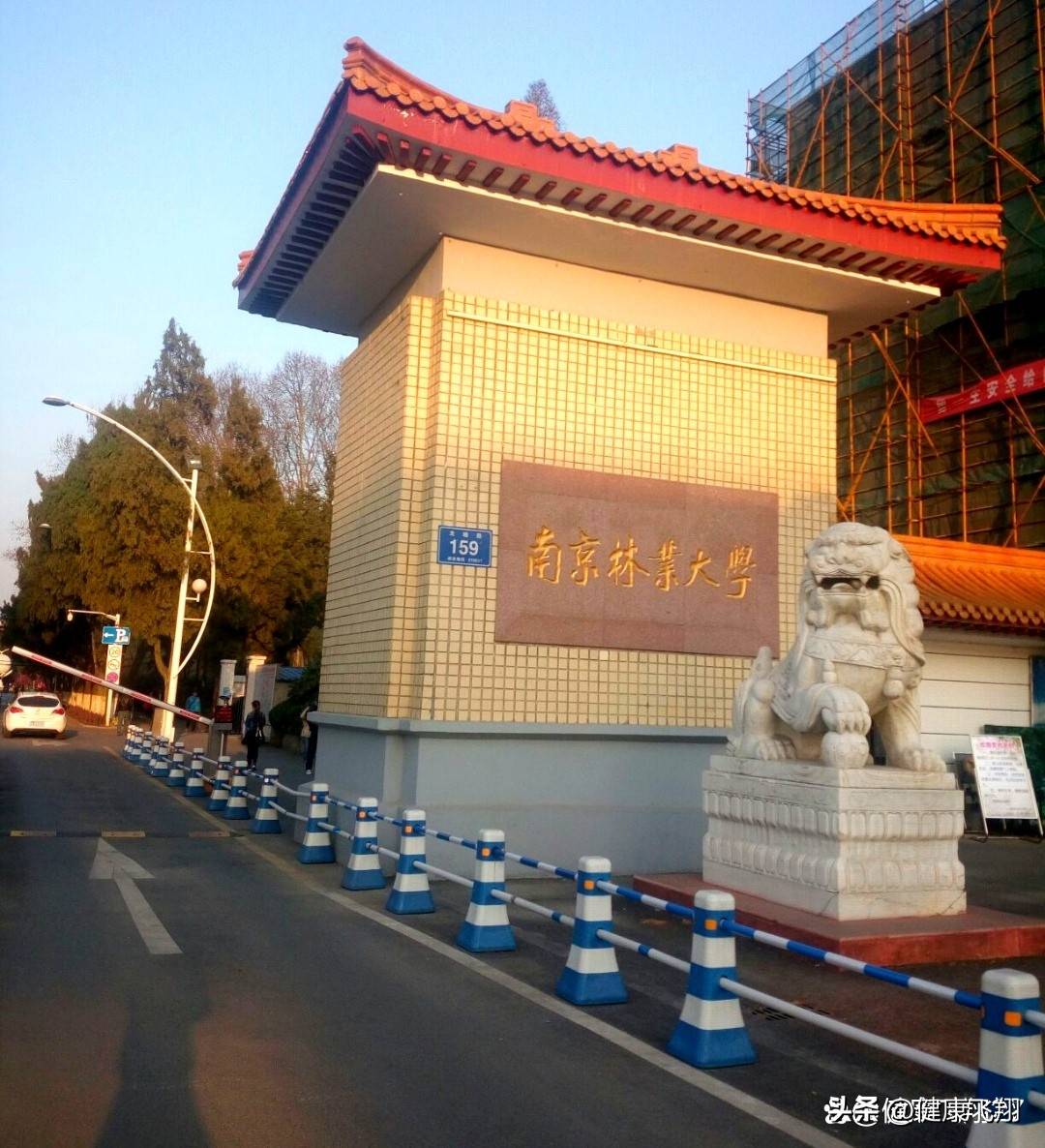 拉萨林业大学队大比分胜出,士气高涨 拉萨林业大学队大比分胜出,士气高涨