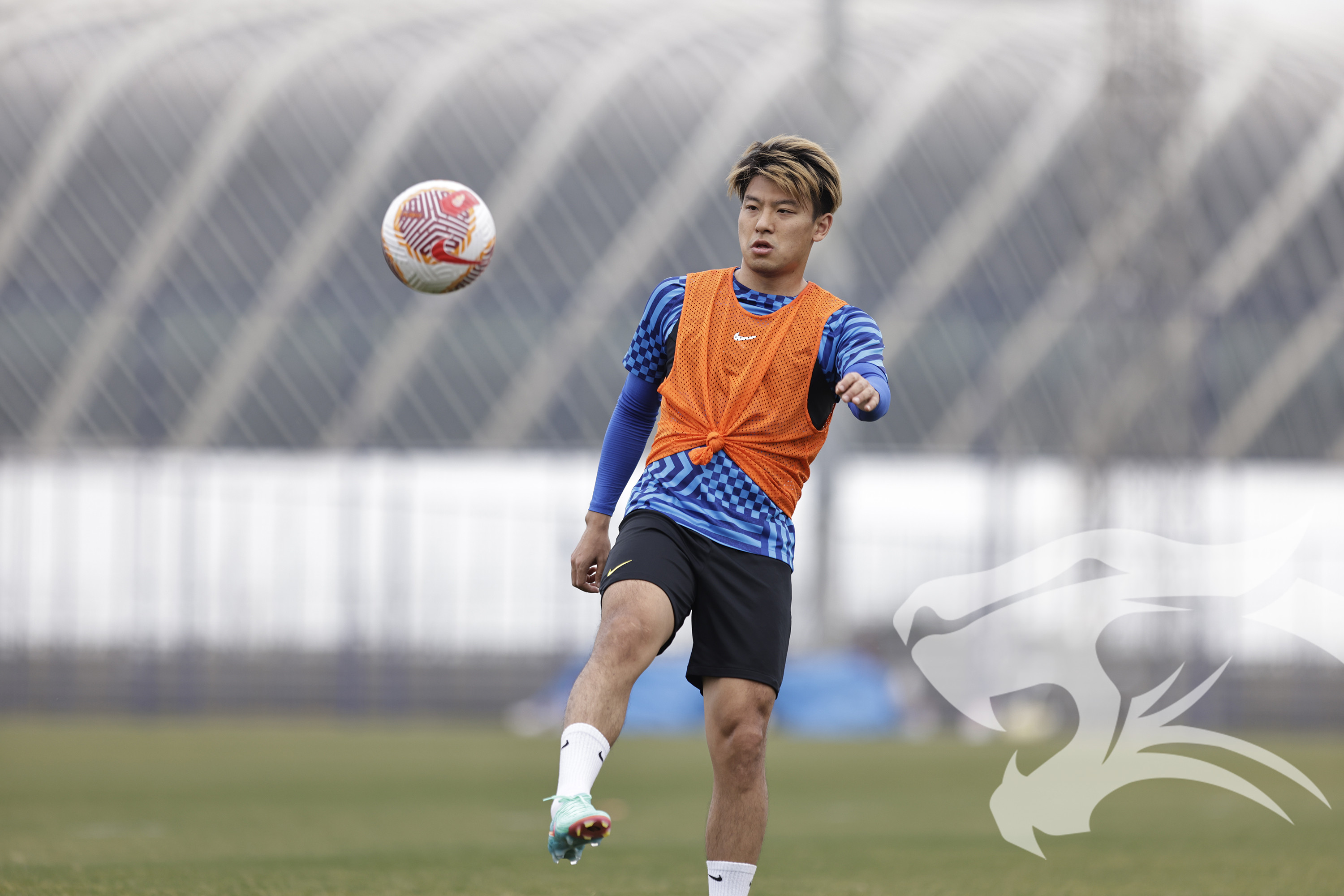 比赛调度变动，球队备战受到一定影响