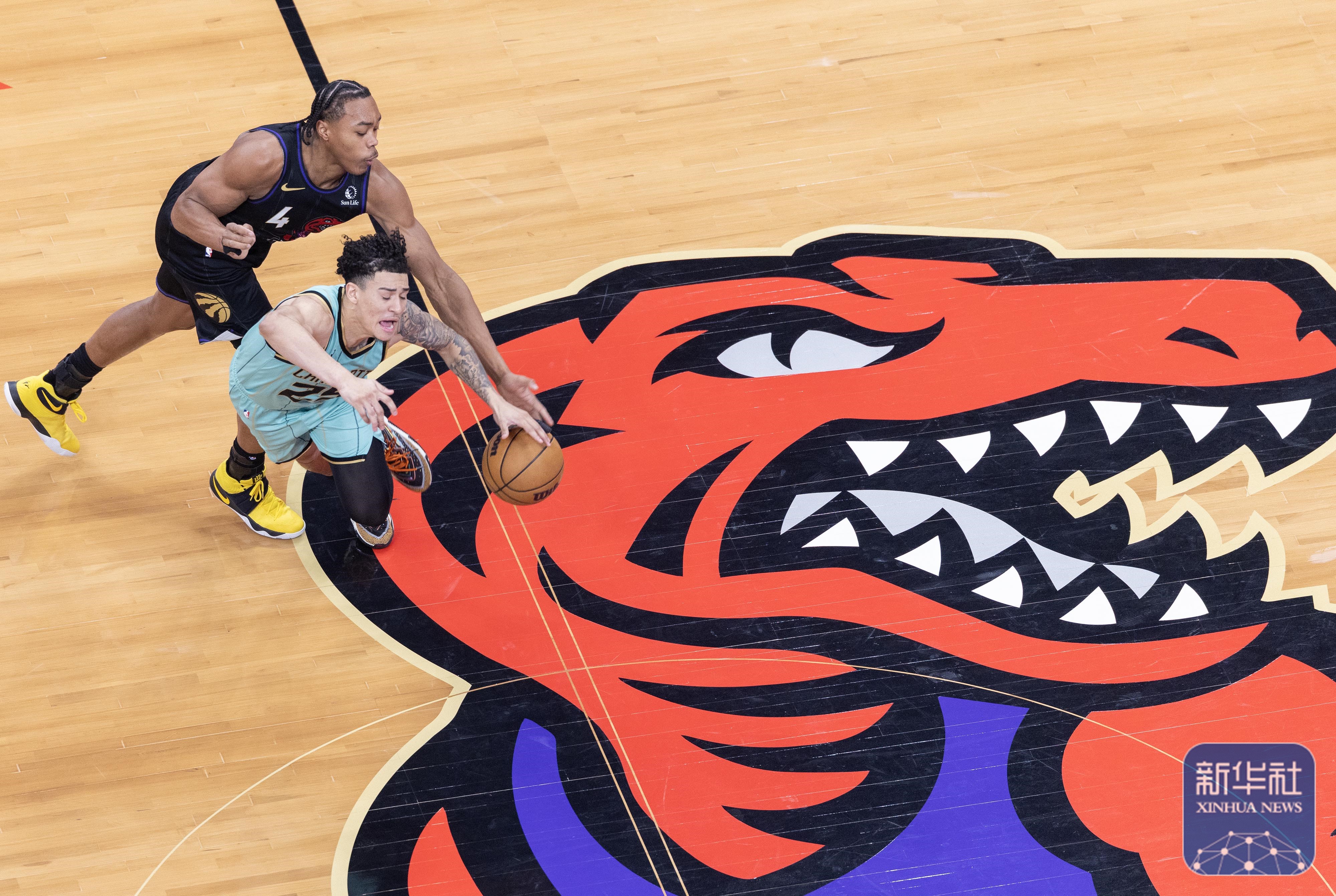 包含猛龙险胜篮网,保持不败的战绩的词条 包含猛龙险胜篮网,保持不败的战绩的词条